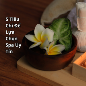 Tiêu chí cho spa